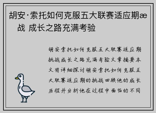 胡安·索托如何克服五大联赛适应期挑战 成长之路充满考验